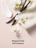بادی میست ویکتوریاسکرت Bare vanilla