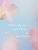 لوسیون بدن ویکتوریا سکرت velvet petals bliss