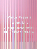 بادی میست ویکتوریا سکرت velvet petals bliss