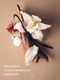 بادی میست عطری ویکتوریا سکرت bare sueded vanilla